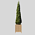 Elegant Cypress Tree 2015: 245cm x 62cm x 265cm 3D model small image 5