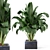 Exquisite Indoor Plant Collection 3D model small image 1