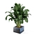 Exquisite Indoor Plant Collection 3D model small image 6