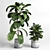 Modern Concrete Vase with Indoor Plant 3D model small image 2