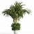 Modern Concrete Binjamin: Indoor Plant 3D model small image 1