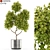 Botanical Extravaganza: Lush Greenery Medley 3D model small image 1