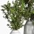 Elegant Gray Branch Pot 3D model small image 5