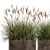 Exotic Plant Collection: Decorative Grasses, Reeds & More 3D model small image 2