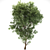 Tall Ash Tree - 12M Height 3D model small image 2