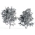 Twin Acer Tataricum Duo: Stunning High Polys 3D model small image 5
