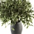 Evergreen Elegance: Green Branch Bouquet 3D model small image 3