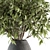 Evergreen Elegance: Green Branch Bouquet 3D model small image 4