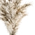 Pampas Bliss - Dried Delight! 3D model small image 3