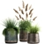 Exotic Plant Collection - Reclaimed Iron Pots 3D model small image 1