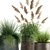 Exotic Plant Collection - Reclaimed Iron Pots 3D model small image 6