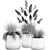 Exotic Plant Collection - Reclaimed Iron Pots 3D model small image 7
