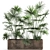 Tropical Palm Collection: Exotic Indoor & Outdoor Plants 3D model small image 1