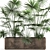 Tropical Palm Collection: Exotic Indoor & Outdoor Plants 3D model small image 2