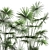 Tropical Palm Collection: Exotic Indoor & Outdoor Plants 3D model small image 5