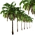 Lush Trio of Alexandra Palms 3D model small image 3