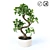 FEJKA FEYKA Artificial Bonsai 3D model small image 1