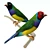  Vibrant Gouldian Finches 3D model small image 1