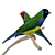  Vibrant Gouldian Finches 3D model small image 2