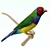  Vibrant Gouldian Finches 3D model small image 3
