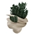 Desert Dream Cactus Pot 3D model small image 3