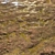 4K Mud Texture Pack 3D model small image 1