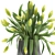 Spring Green Tulip Bouquet 3D model small image 4