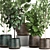 Exotic Plant Collection in Reclaimed Iron Pots 3D model small image 2