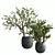  Lush Jade Bonsai Set 3D model small image 1