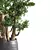  Lush Jade Bonsai Set 3D model small image 3