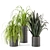 Lush Indoor Greenery - Set 012 3D model small image 1