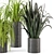 Lush Indoor Greenery - Set 012 3D model small image 3