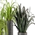 Lush Indoor Greenery - Set 012 3D model small image 5