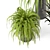 Lush Indoor Greenery - Set 012 3D model small image 6