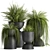 Exotic Black Pot Plant Collection 3D model small image 1
