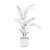 Exquisite Strelitzia Plants Collection 3D model small image 5