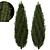 Fine Cupressus Tree: Close-up & Far Rendering 3D model small image 1