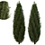 Fine Cupressus Tree: Close-up & Far Rendering 3D model small image 6