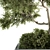 Evergreen Garden Set 13 - Transform Your Garden! 3D model small image 3