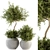 Green Oasis: Outdoor Plant Set 3D model small image 1