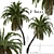 Exquisite Pair of Senegal Date Palms 3D model small image 1