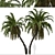 Exquisite Pair of Senegal Date Palms 3D model small image 3