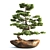 Bonsai03: Realistic 3D Plant Model 3D model small image 1