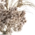 Nature's Elegance: Dried Floral Arrangement 3D model small image 3