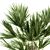 Tropical Oasis Plant Set 3D model small image 3