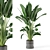 Concrete Pot Indoor Plant Set 3D model small image 1