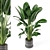 Concrete Pot Indoor Plant Set 3D model small image 2