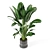 Concrete Pot Indoor Plant Set 3D model small image 6