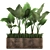 Tropical Plant Collection in Rustic Metal Pots 3D model small image 1