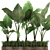 Tropical Plant Collection in Rustic Metal Pots 3D model small image 4